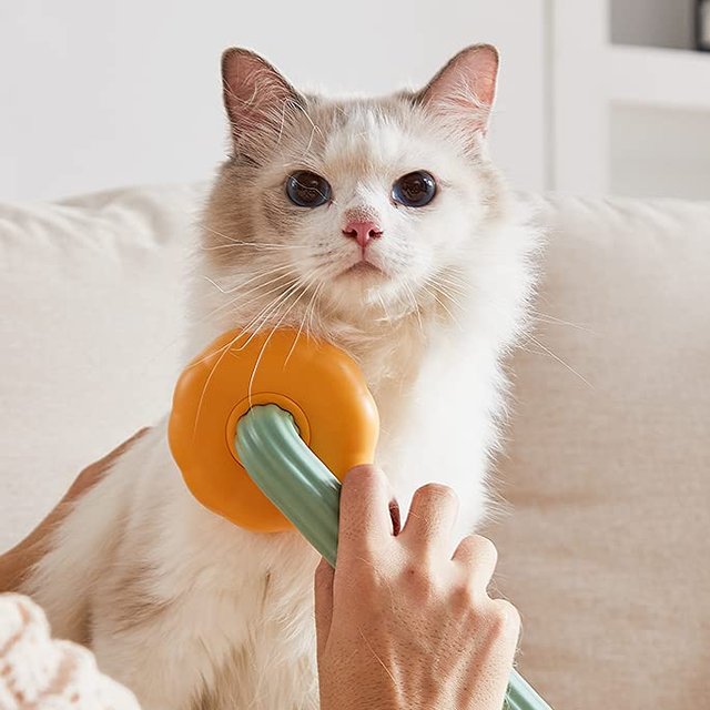 Spazzola con testina arancione e manico verde usata sul collo di un gatto bianco seduto su un divano