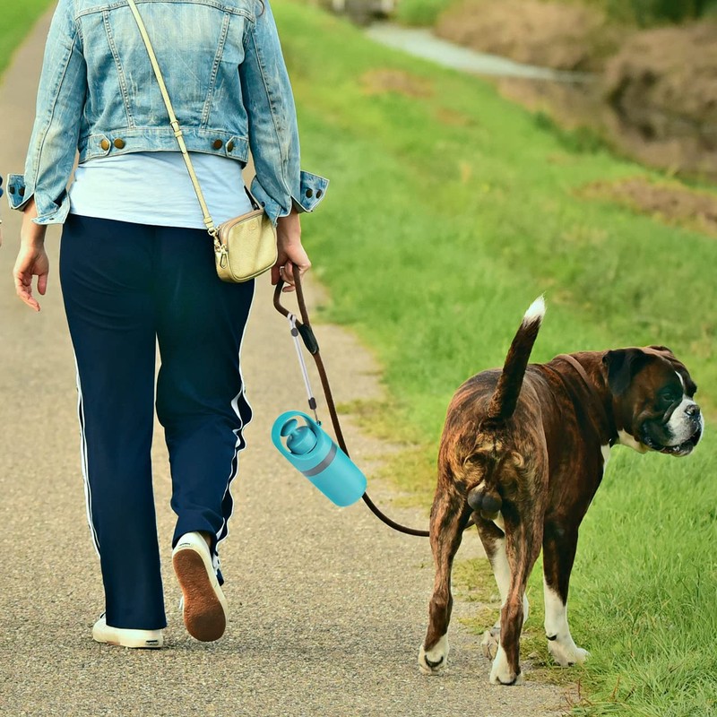 Persona che cammina su un sentiero con un cane e il raccoglitore agganciato al guinzaglio