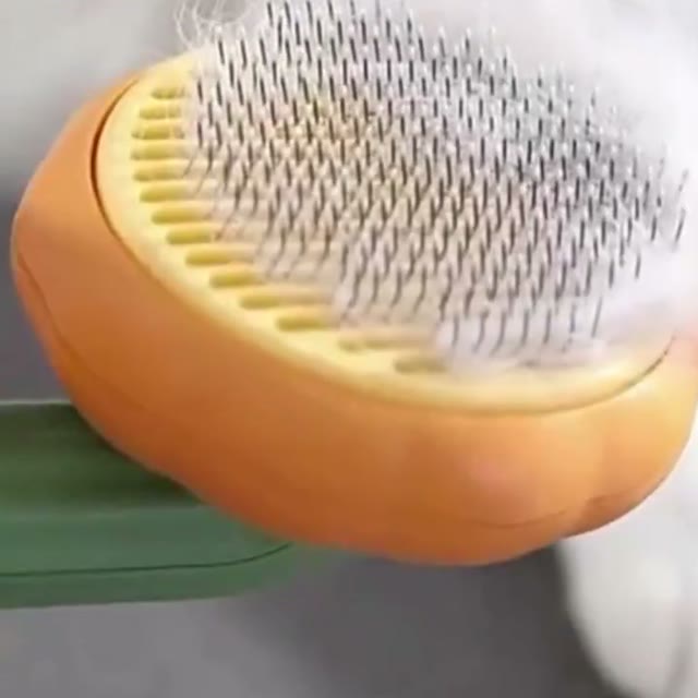 Primo piano della testina arancione con le punte in acciaio e del pelo bianco raccolto